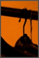 Foto's